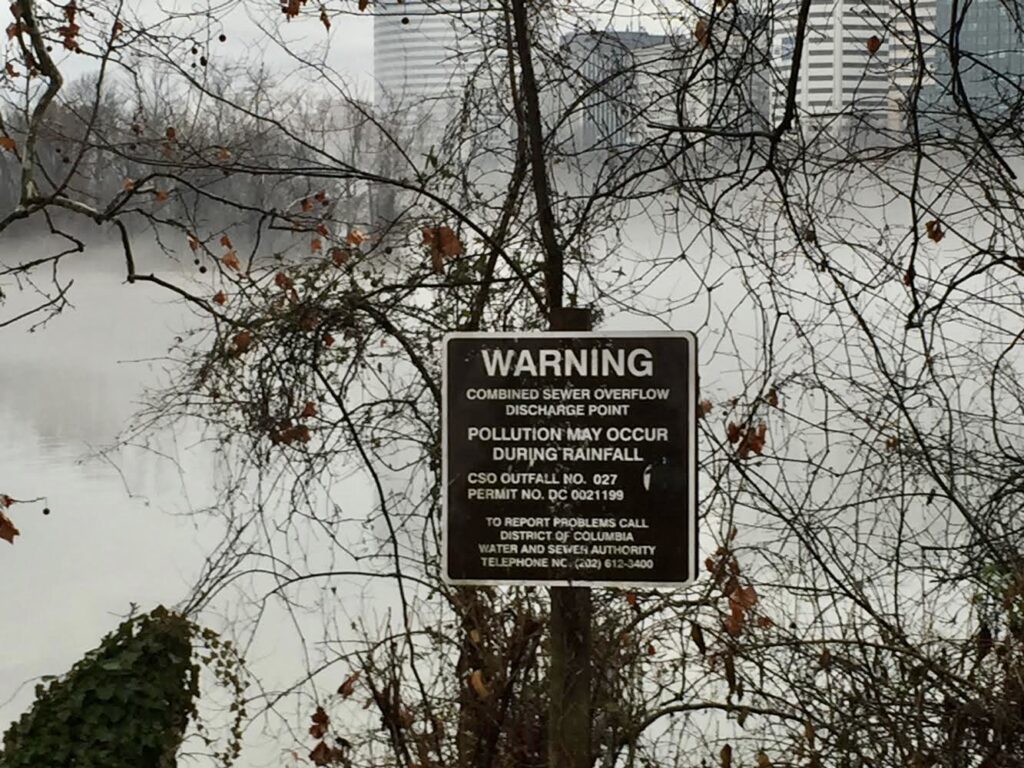 2016 swimming hazard