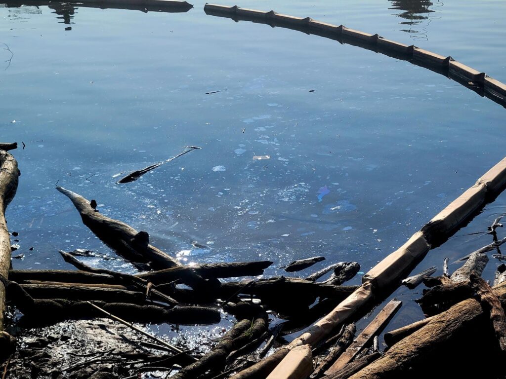 coal tar pollution Alexandria VA